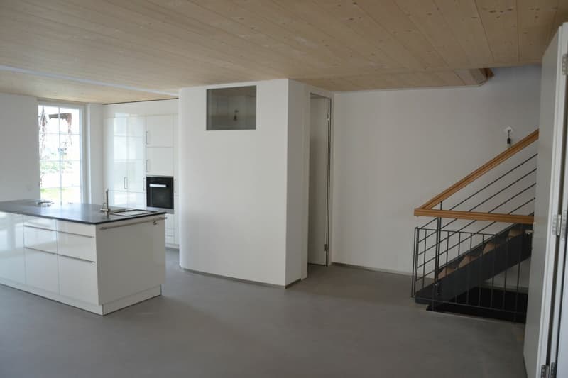 Maison de 3 générations, 7 pièces + 2 pièces + jardin. Noble, moderne, chic restauré, très lumineux, tout bio - ou : appartement de 7 pièces et bureau / appartement au pair de 2 pièces (7)