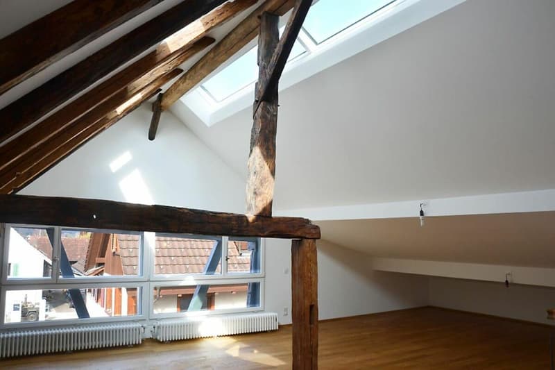 Maison de 3 générations, 7 pièces + 2 pièces + jardin. Noble, moderne, chic restauré, très lumineux, tout bio - ou : appartement de 7 pièces et bureau / appartement au pair de 2 pièces (11)