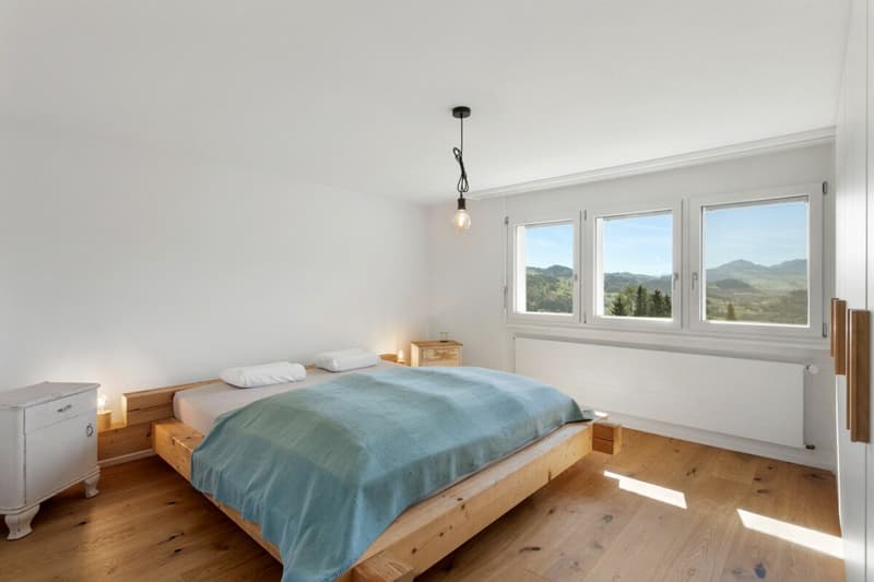 Newly renovated and modern apartment in a green area with great views (7)