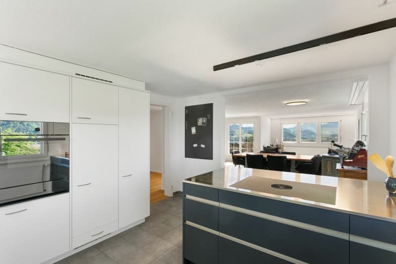 Newly renovated and modern apartment in a green area with great views (5)