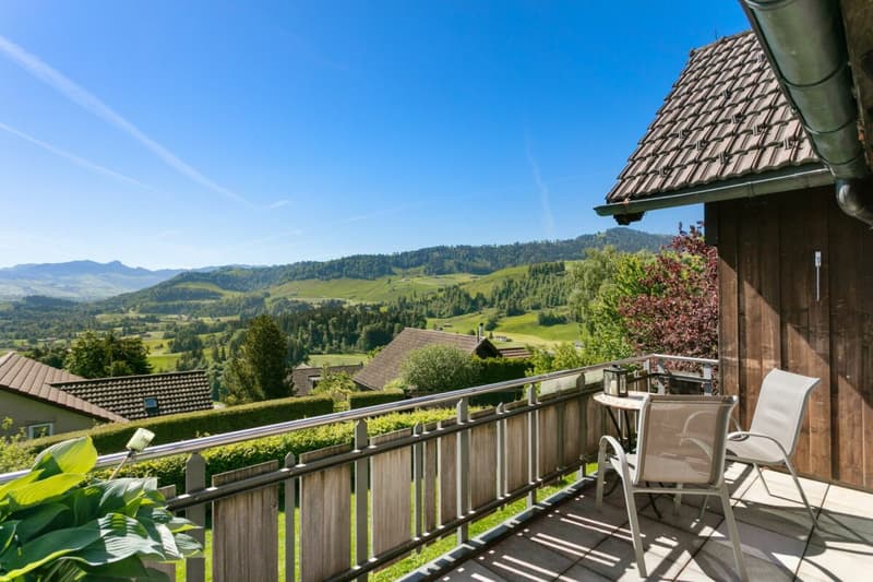 Newly renovated and modern apartment in a green area with great views (12)