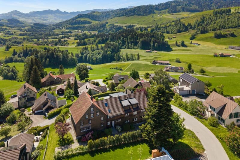 Newly renovated and modern apartment in a green area with great views (13)