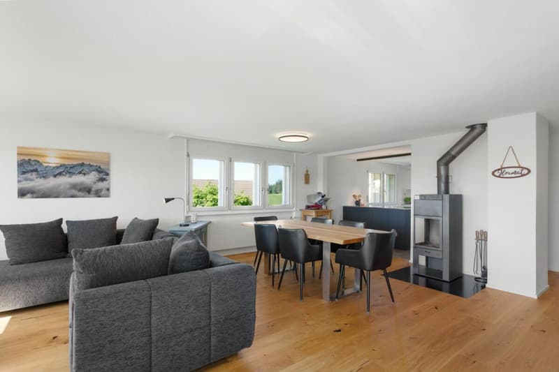 Newly renovated and modern apartment in a green area with great views (3)