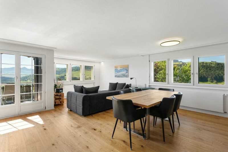 Newly renovated and modern apartment in a green area with great views (2)