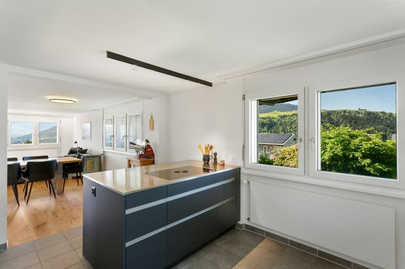 Newly renovated and modern apartment in a green area with great views (4)