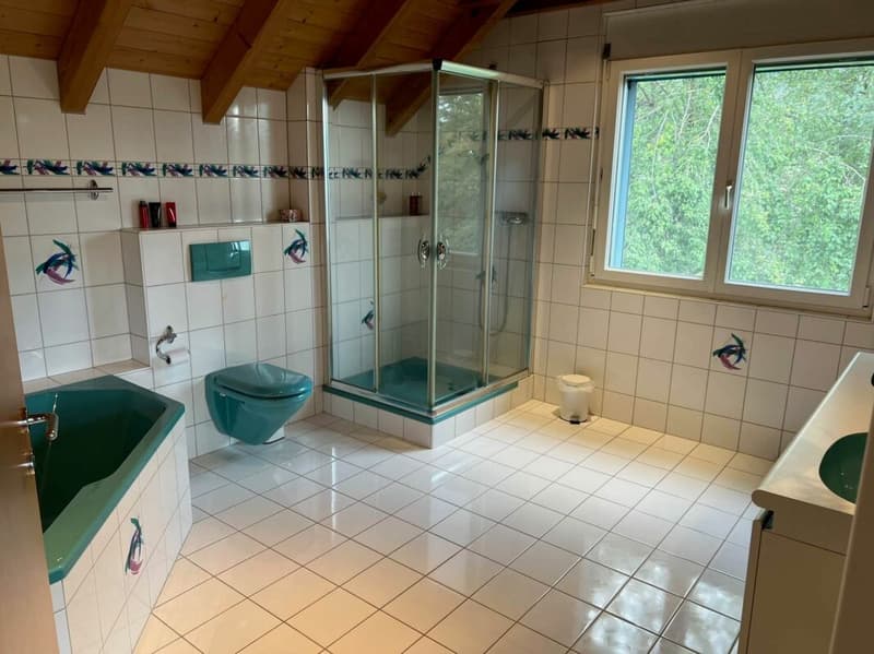 Casa unifamiliare unica di 6,5 locali in una posizione da sogno (13)