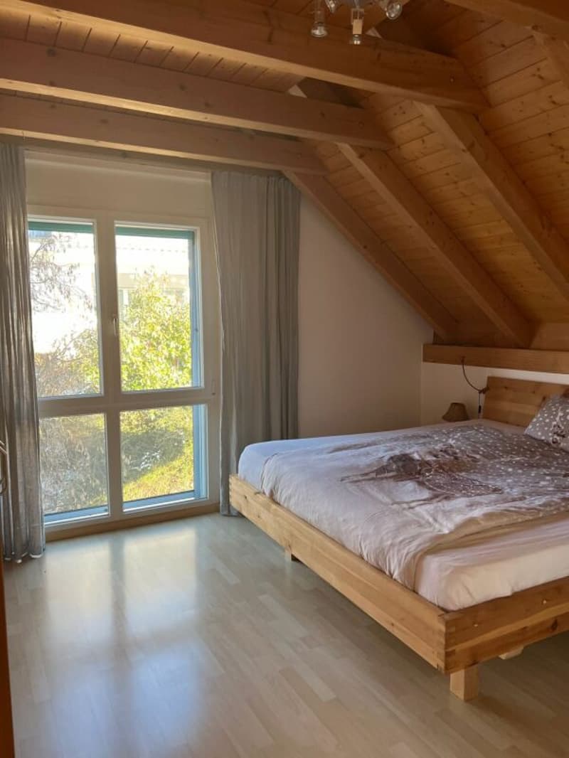 Casa unifamiliare unica di 6,5 locali in una posizione da sogno (12)