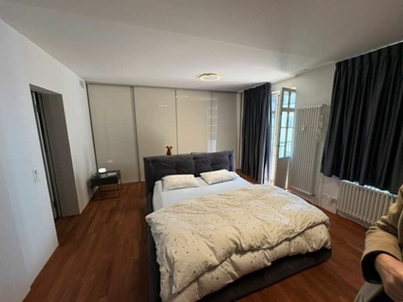 Moderne Loftwohnung in einem historischen Gebäude im Herzen von Zürich Enge (4)