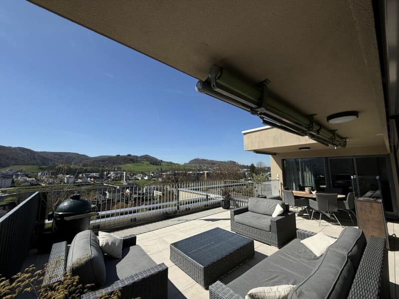 Living above the roofs of Liestal - exclusive 5.5-room terrace apartment (3)