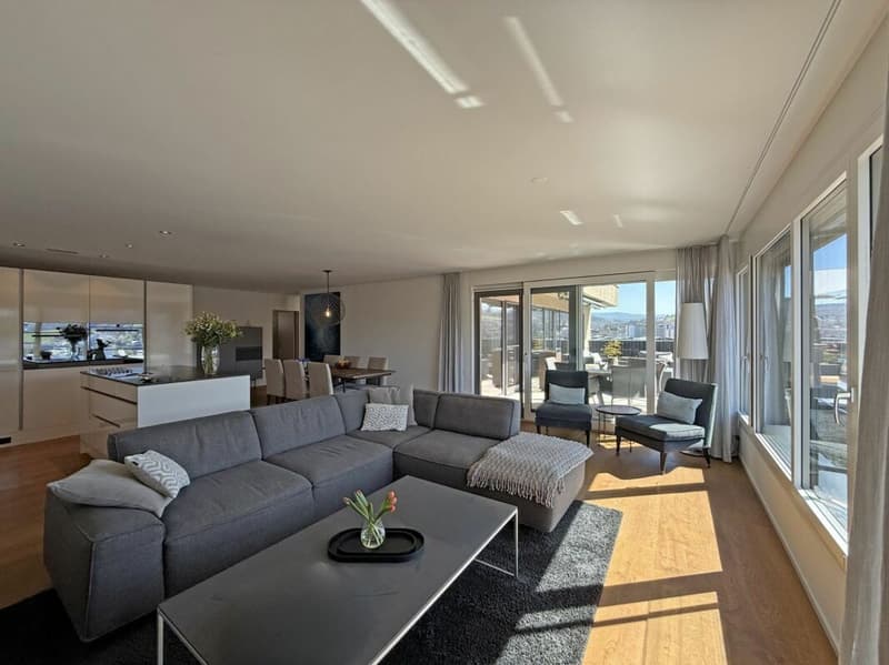 Living above the roofs of Liestal - exclusive 5.5-room terrace apartment (8)
