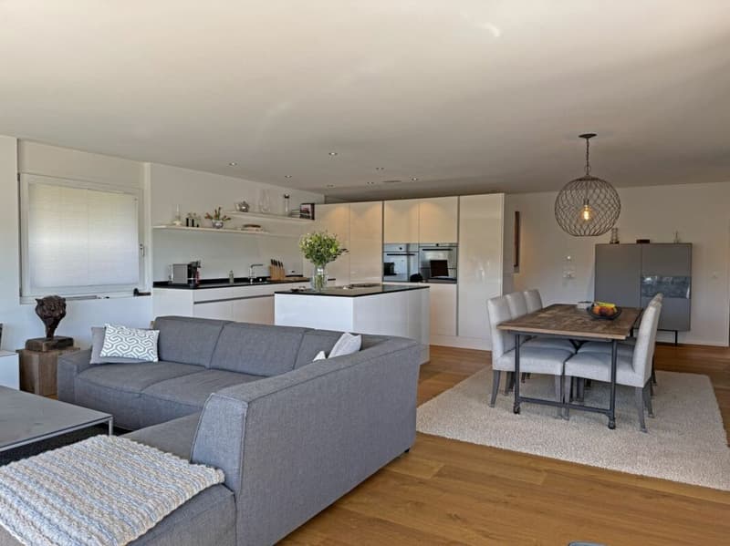 Living above the roofs of Liestal - exclusive 5.5-room terrace apartment (4)
