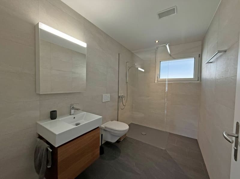 Living above the roofs of Liestal - exclusive 5.5-room terrace apartment (14)