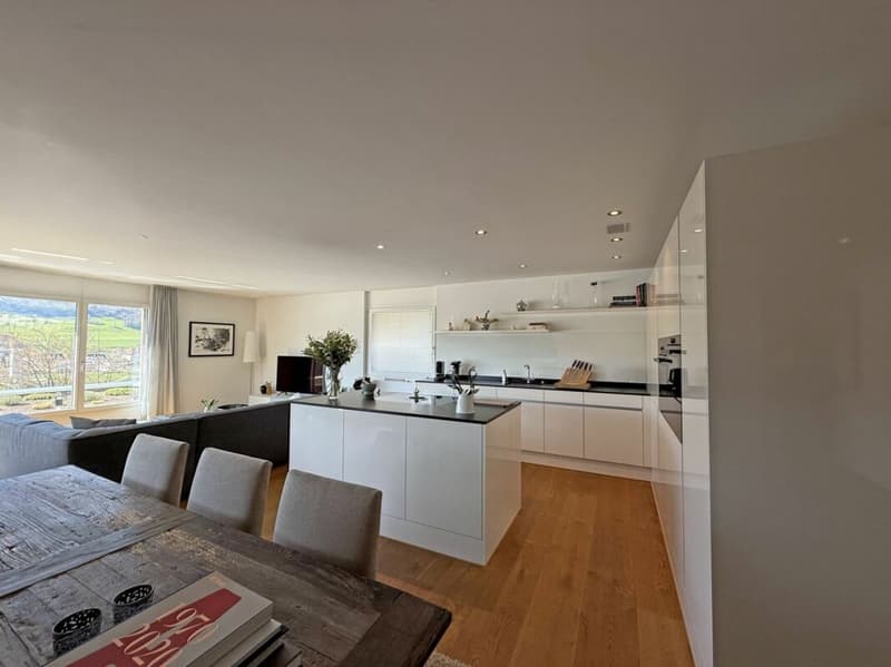 Living above the roofs of Liestal - exclusive 5.5-room terrace apartment (5)