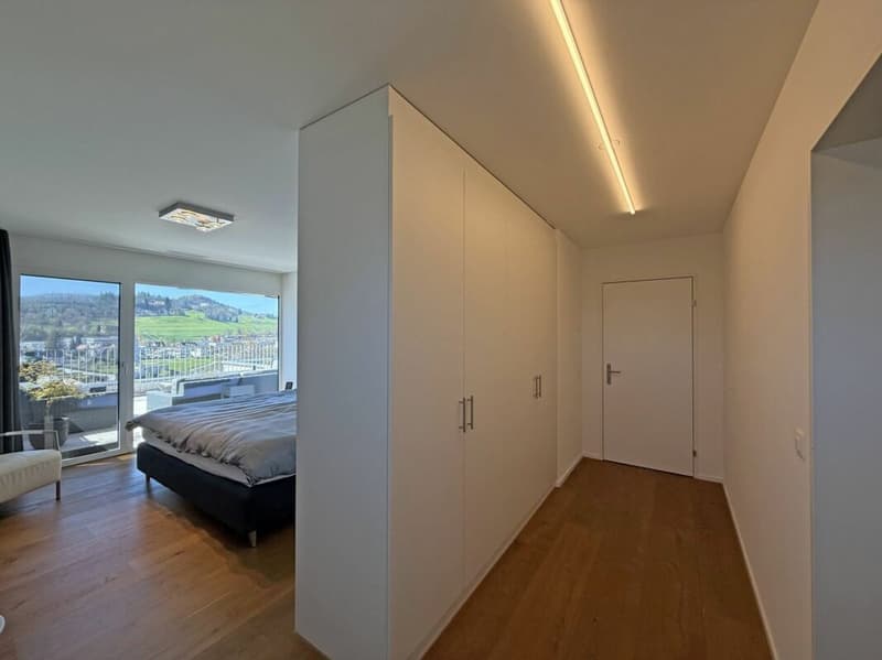 Living above the roofs of Liestal - exclusive 5.5-room terrace apartment (9)