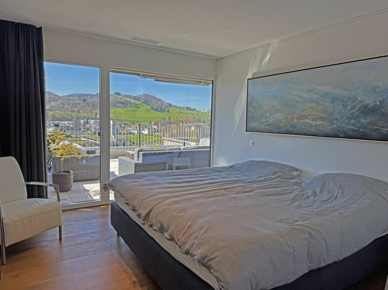 Living above the roofs of Liestal - exclusive 5.5-room terrace apartment (6)