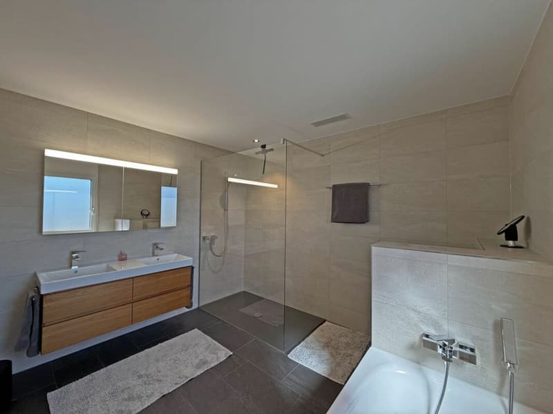 Living above the roofs of Liestal - exclusive 5.5-room terrace apartment (10)