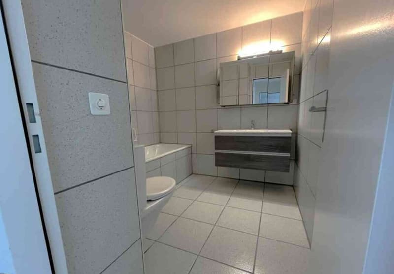 Beautiful and modern 3-room apartment in Sissach with private garden, chimney, 2WC, bathtub, separate shower, and much more... (5)