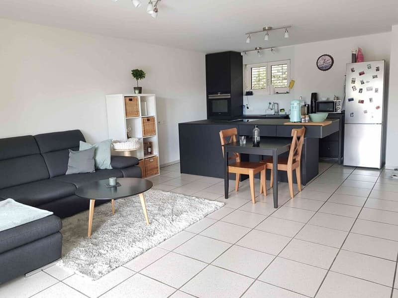 Beautiful and modern 3-room apartment in Sissach with private garden, chimney, 2WC, bathtub, separate shower, and much more... (3)