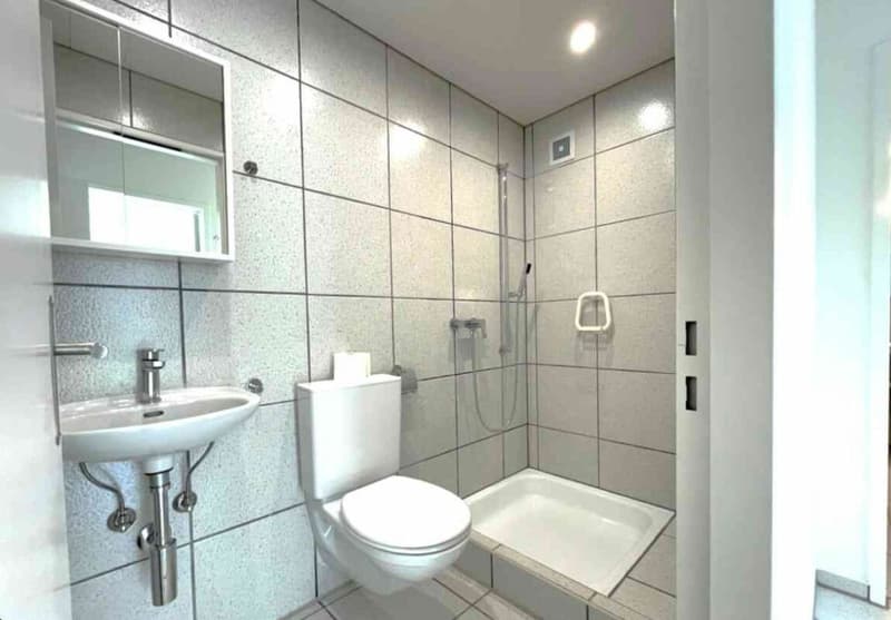 Beautiful and modern 3-room apartment in Sissach with private garden, chimney, 2WC, bathtub, separate shower, and much more... (6)