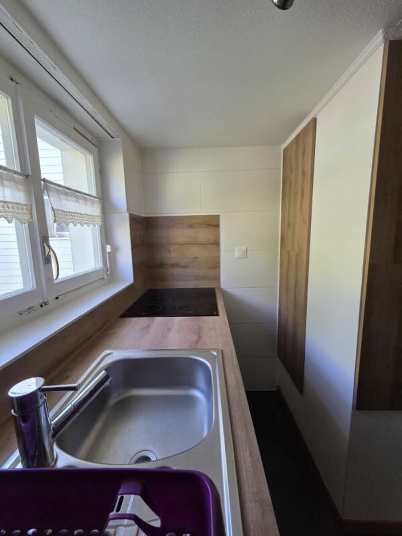 5.5 Zimmerwohnung möbliert in Wildhaus zu vermieten per sofort (2)