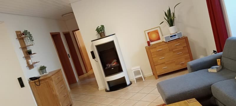 Appartamento da sogno in vendita al confine svizzero (5)
