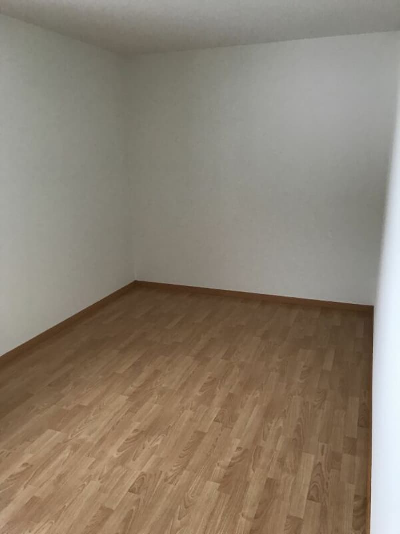 Charmant appartement 4.5 pièces avec grand balcon (5)