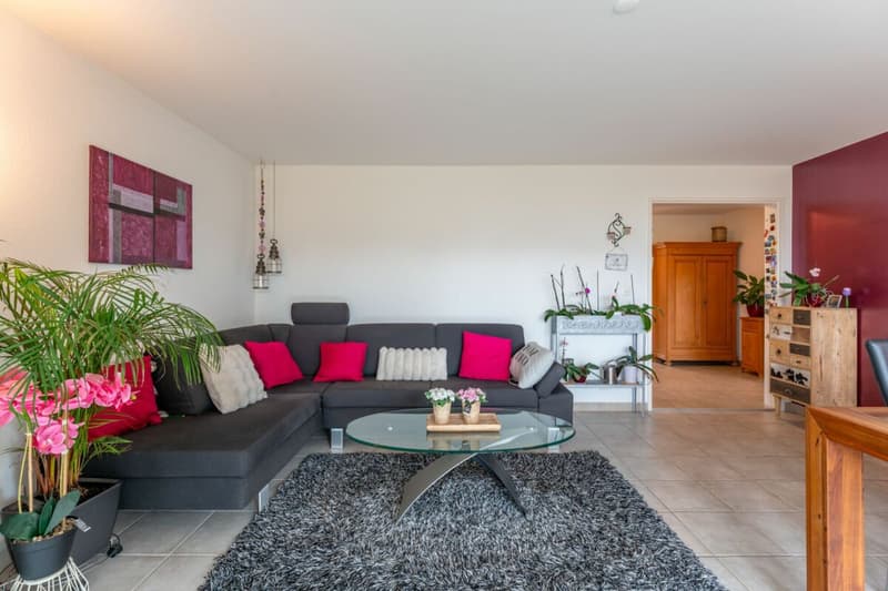 Ideale per i primi acquirenti, le giovani coppie o le famiglie che cercano un condominio solido e non vogliono ristrutturare immediatamente. (3)