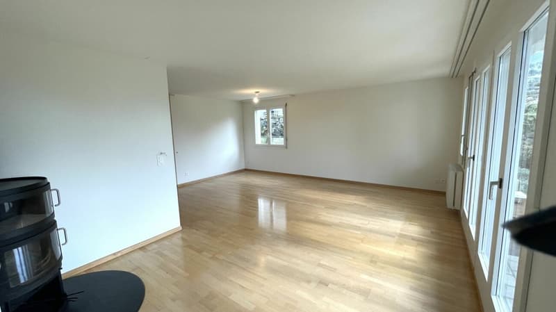 Casa angolare di 5,5 locali con vista molto bella e doppio garage (5)