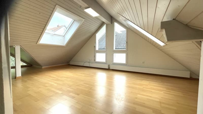 Casa angolare di 5,5 locali con vista molto bella e doppio garage (10)