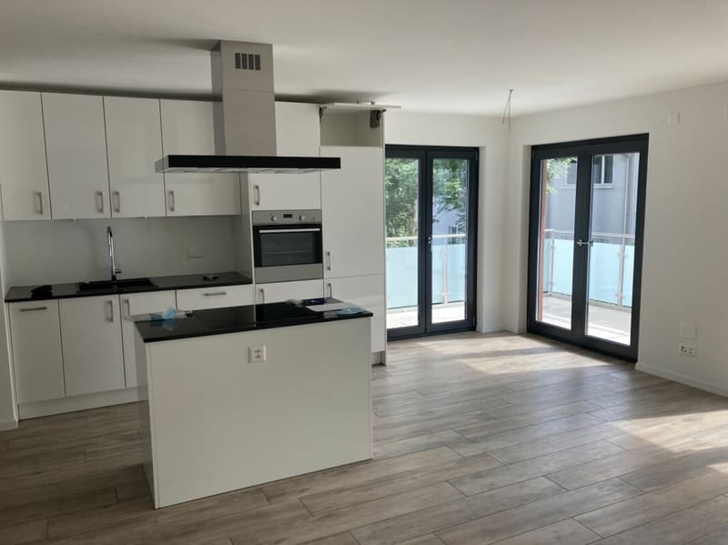 Appartement moderne et ensoleillé de 4,5 pièces (3)