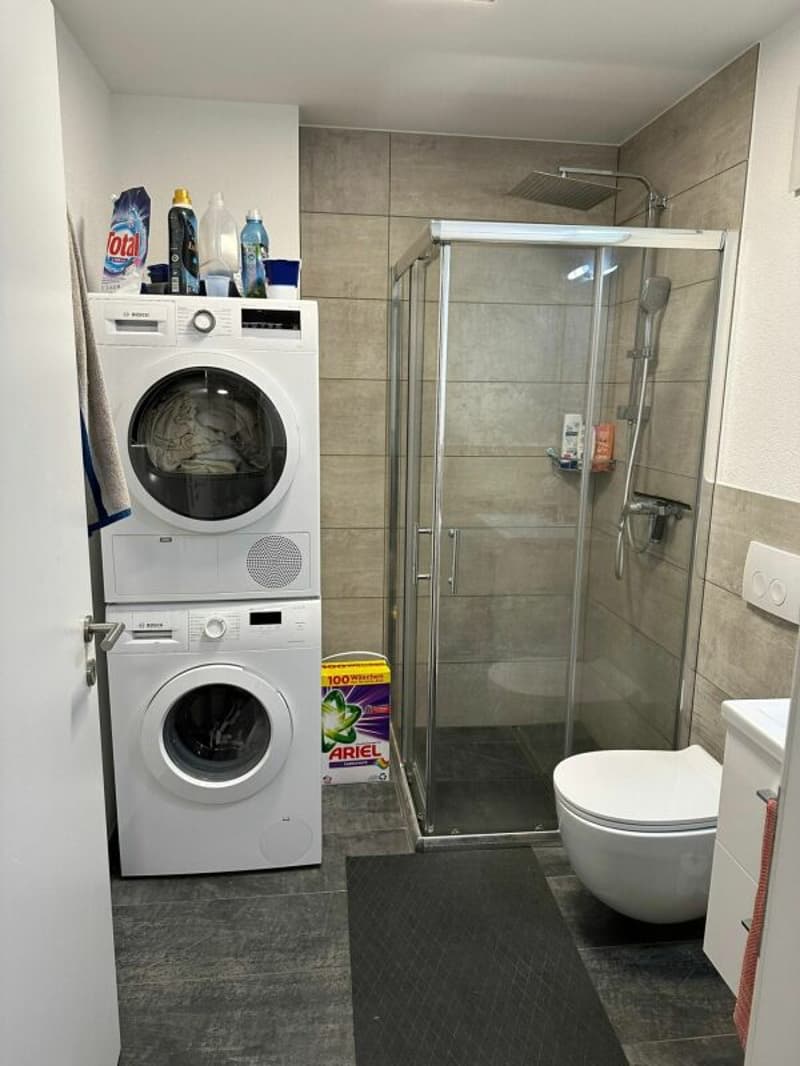 Appartement moderne et ensoleillé de 4,5 pièces (5)