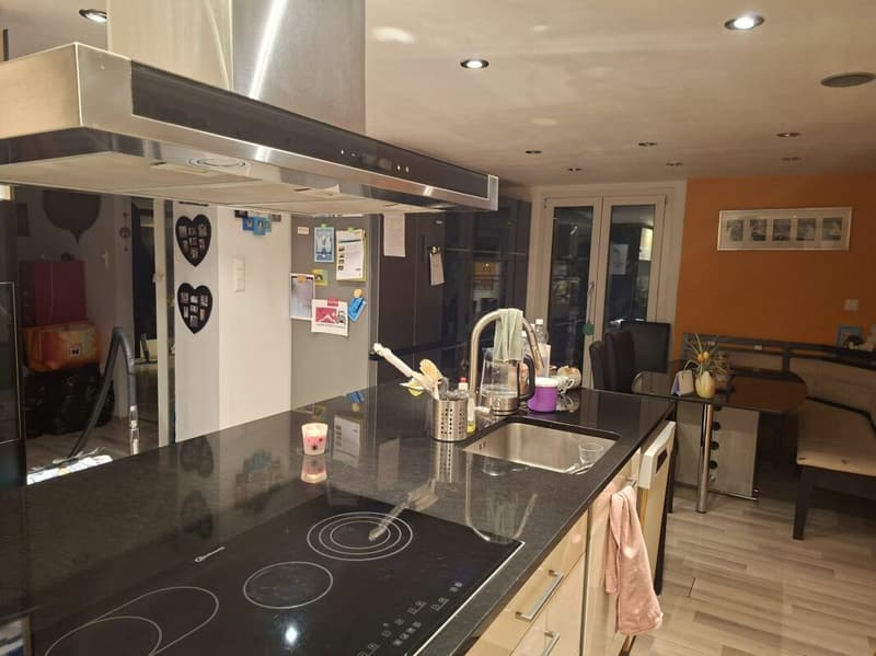 5,5 Casa unifamiliare, 880 m² di terreno (6)
