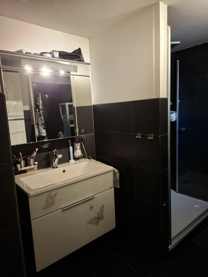 5,5 Casa unifamiliare, 880 m² di terreno (8)