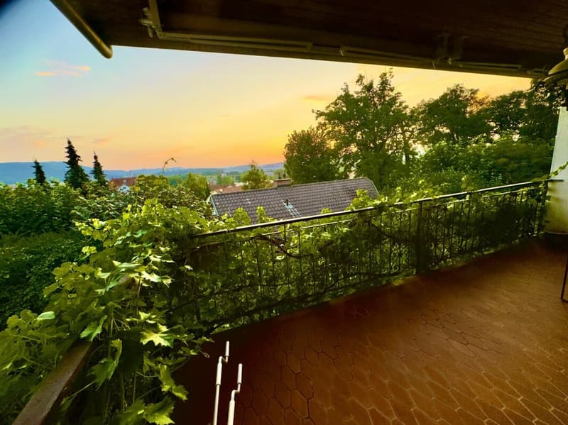 Casa unifamiliare di 8,5 locali con vista a sud-ovest inobstructabile - vicino ai trasporti pubblici e alle scuole a Dornach (15)