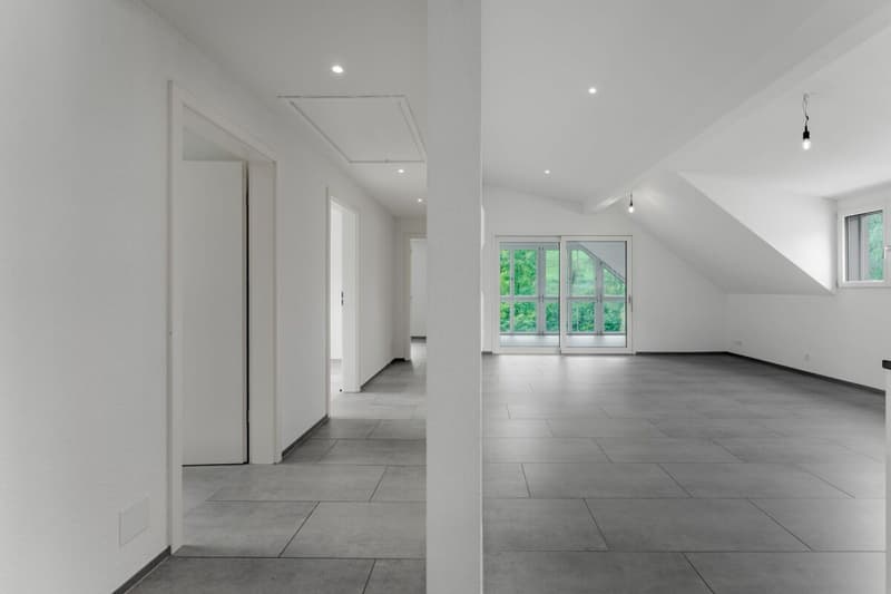 Appartement de 4,5 pièces sous les toits prêt à être occupé avec accès au niveau du sol (4)