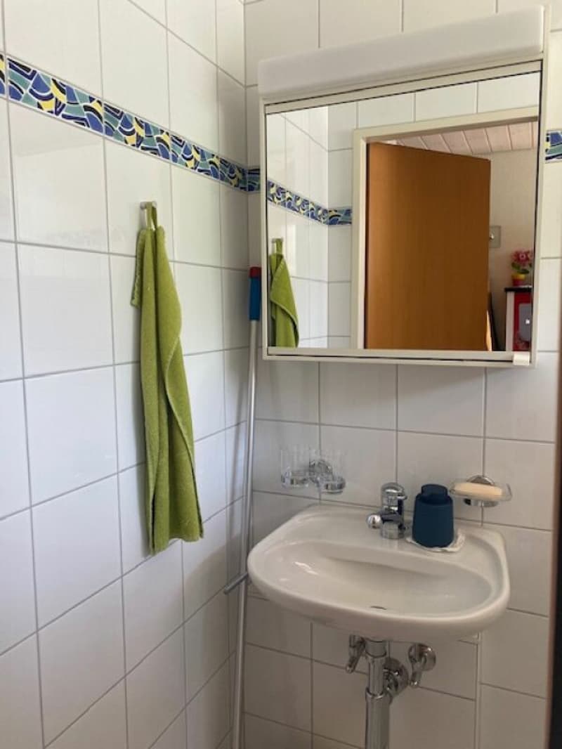 An ideal family idyll in a top location in Reinach BL, 6.5-room corner single-family house (12)