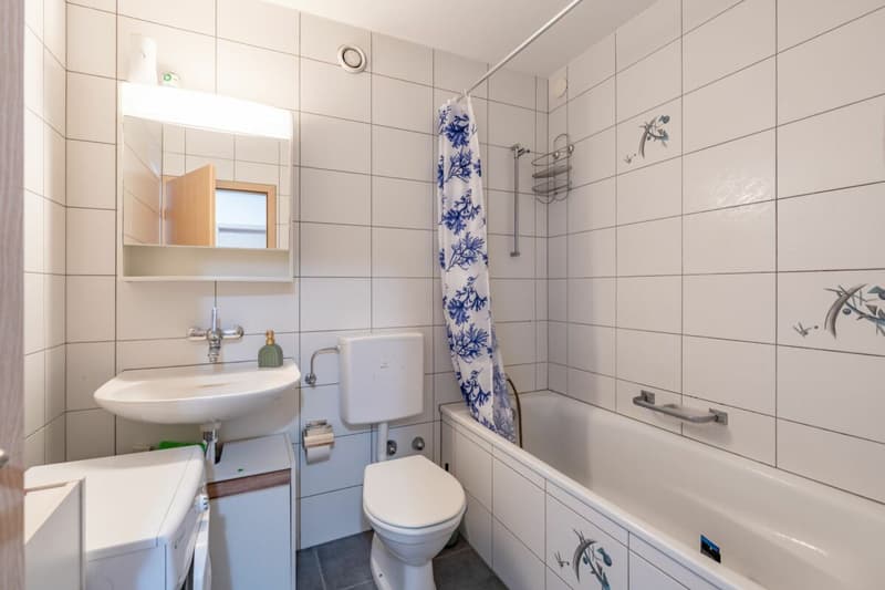 Ingresso equo nella proprietà | Appartamento 3.5 locali con vista panoramica, ascensore & posto auto (13)