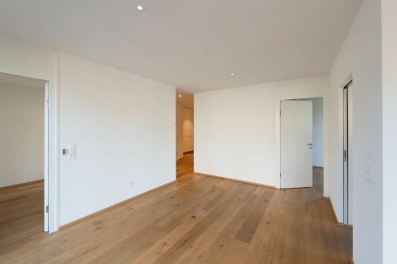 Appartement en propriété de 4,5 pièces avec terrasse sur le toit au Mattenbach (7)