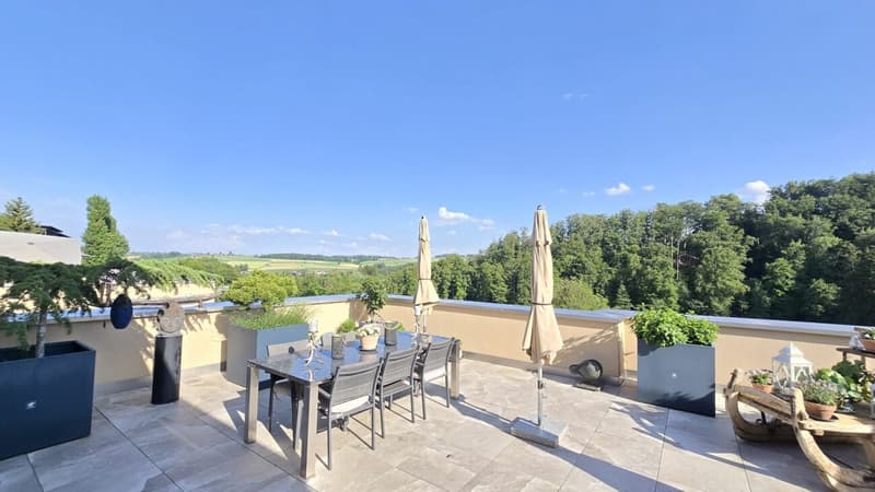 Panoramic Terrace Apartment (1)