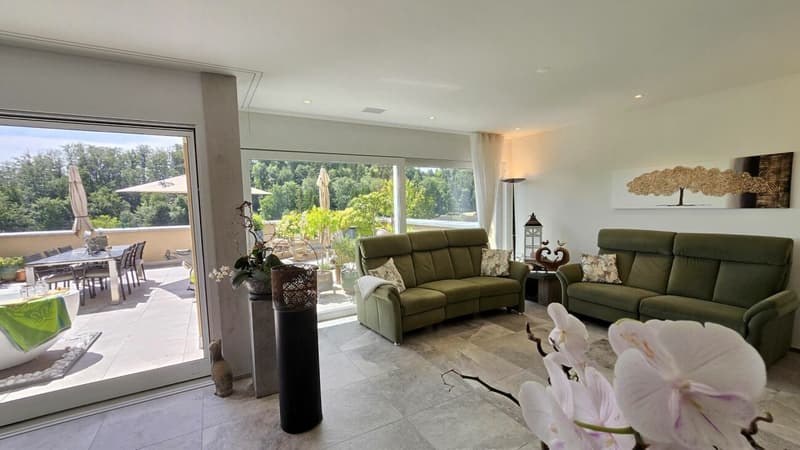 Panoramic Terrace Apartment (5)
