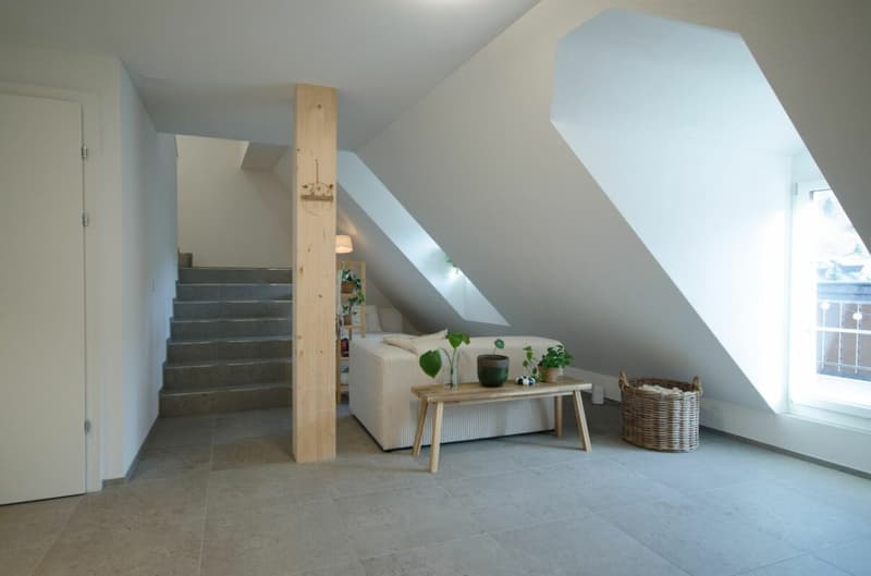Attractive 3.5-room attic apartment with gallery (3)