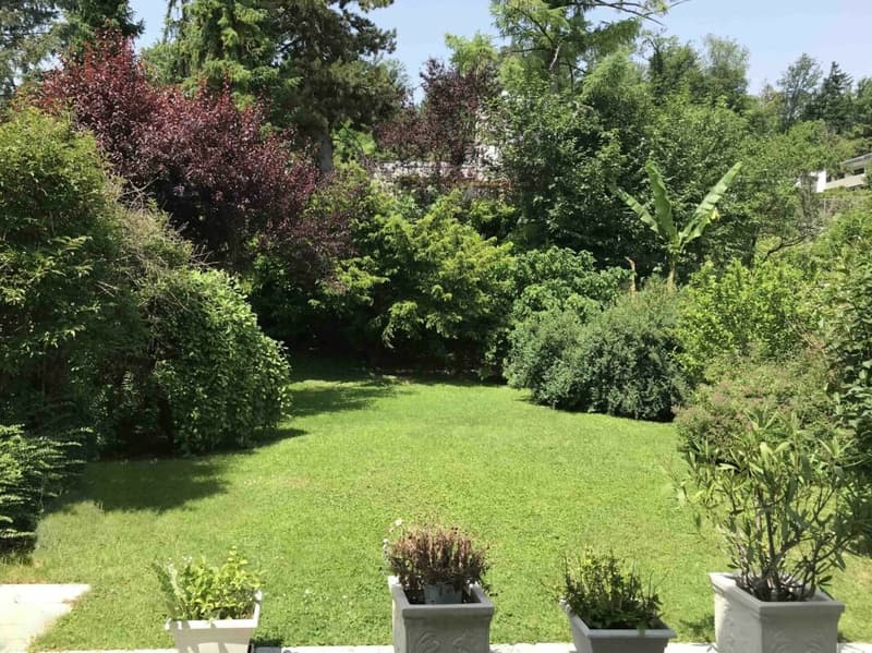 Maison de famille charmante dans un environnement vert à un emplacement idéal ... Reinach/BL (3)