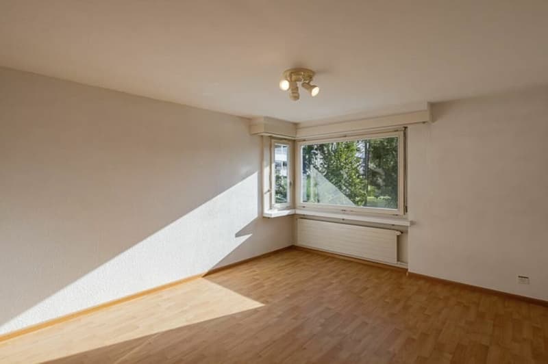 Maison de famille charmante dans un environnement vert à un emplacement idéal ... Reinach/BL (10)