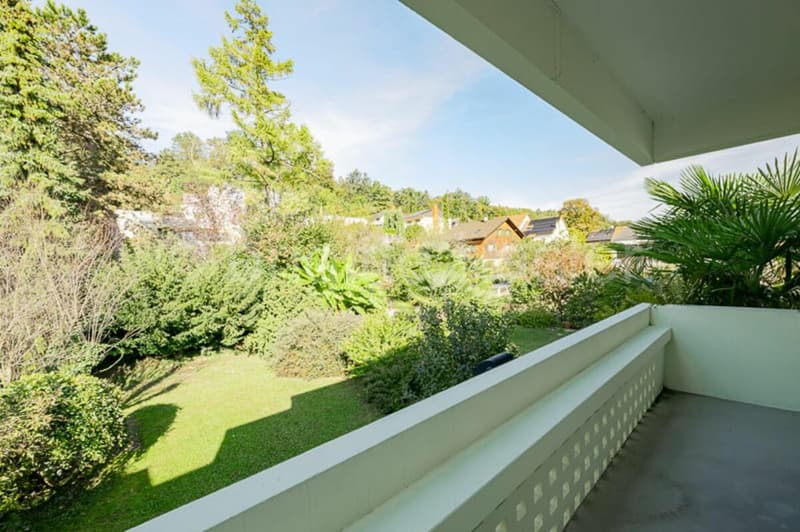 Maison de famille charmante dans un environnement vert à un emplacement idéal ... Reinach/BL (9)