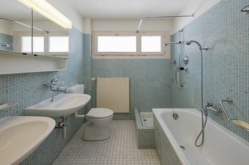 Maison de famille charmante dans un environnement vert à un emplacement idéal ... Reinach/BL (15)