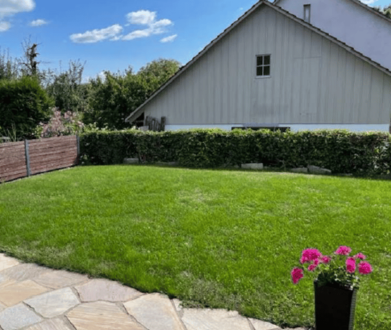 Maison jumelée de 6 pièces charmante à Biel-Benken - Vie idyllique avec vue panoramique (3)