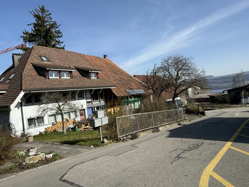Attraktives Grundstück mit Seeblick und Entwicklungspotenzial in Beinwil am See (3)