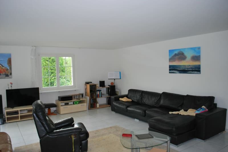 Exclusive 8-room villa with pool (6)