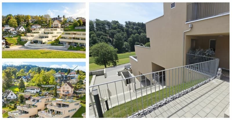 Panorama-Terrassenwohnung (2)