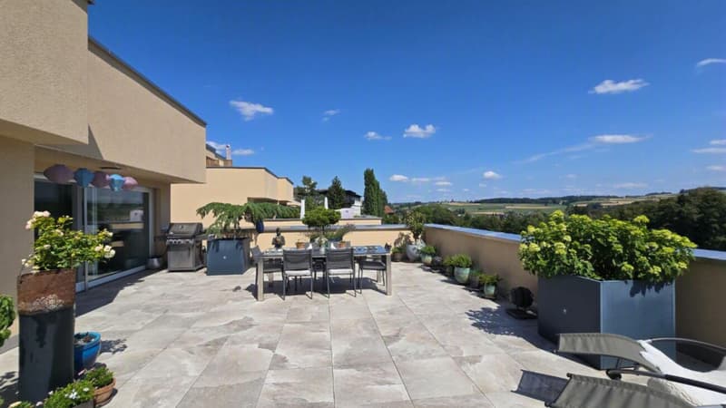 Panorama-Terrassenwohnung (1)